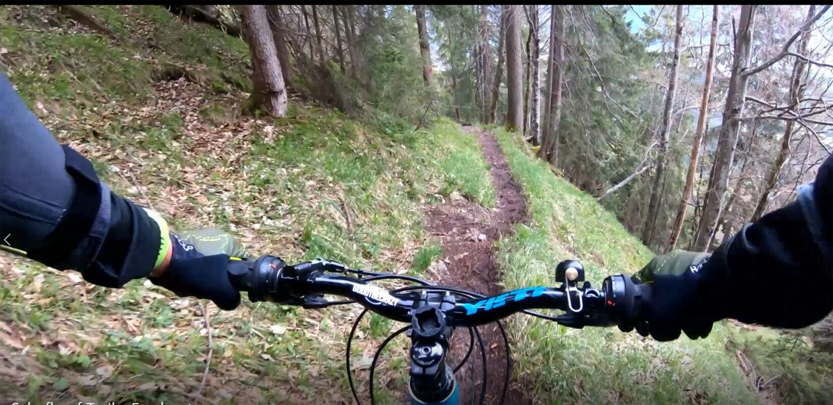 Schafkopf Trail