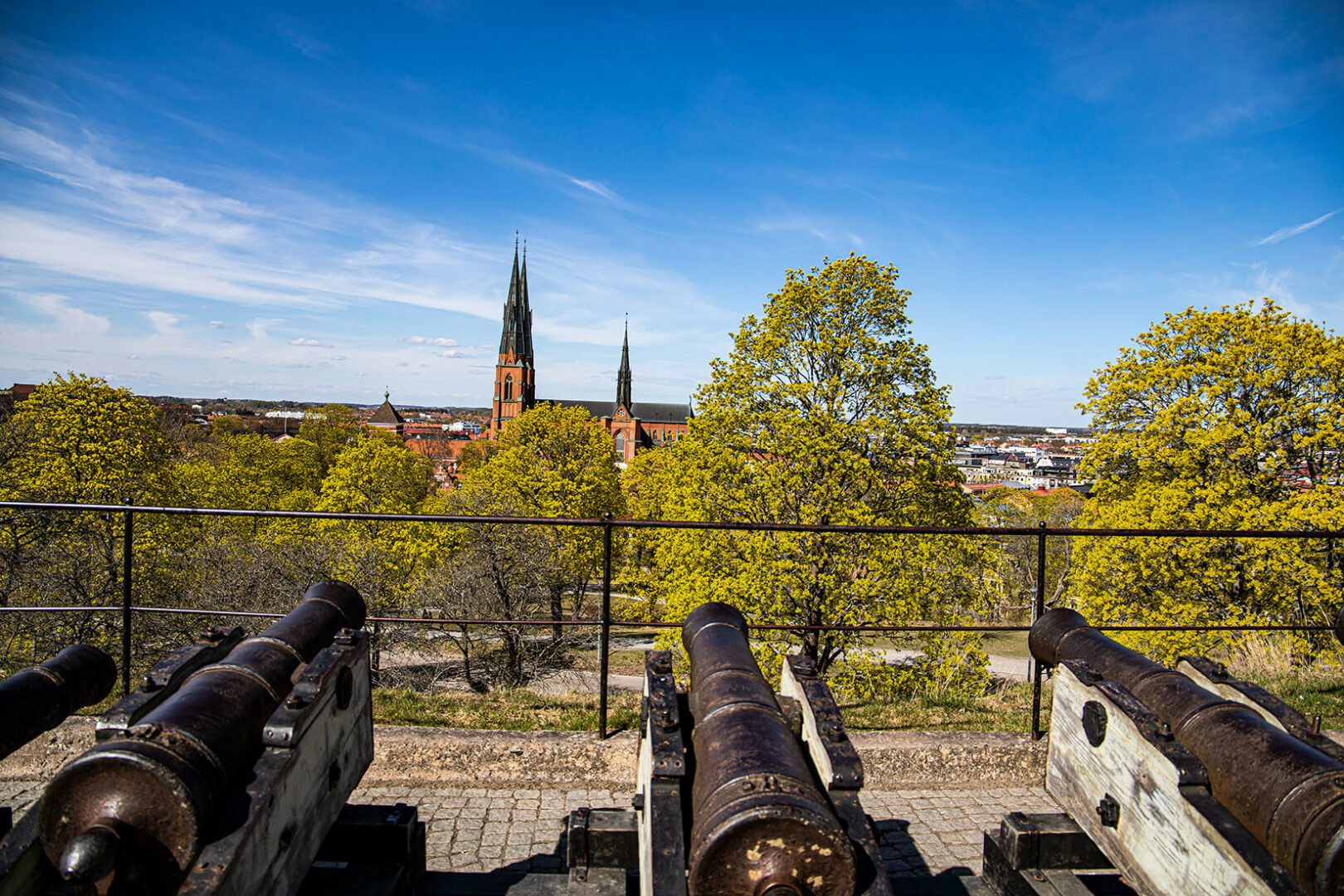 Blick auf Uppsala